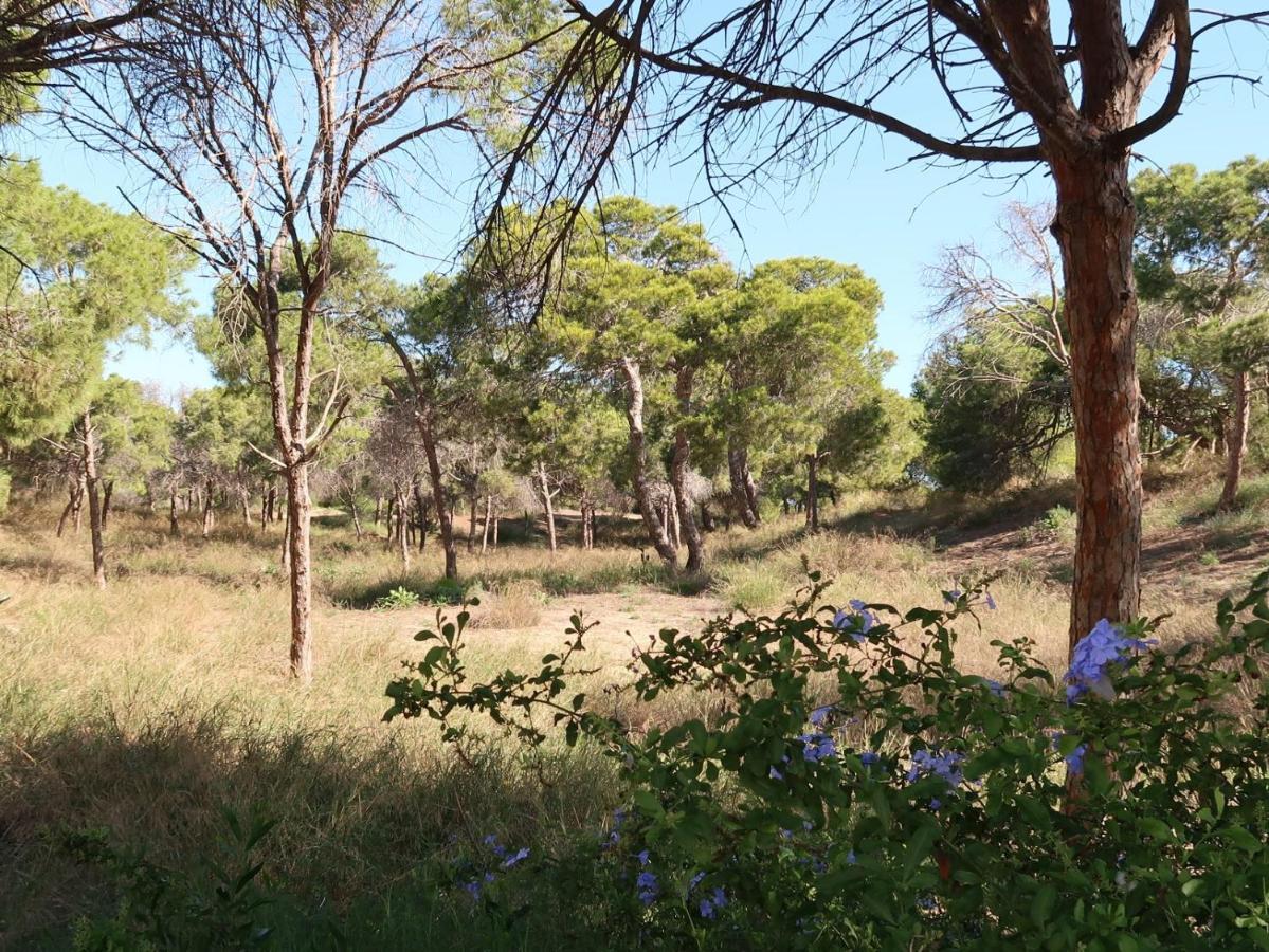Emilia De La Playa Daire La Mata  Dış mekan fotoğraf