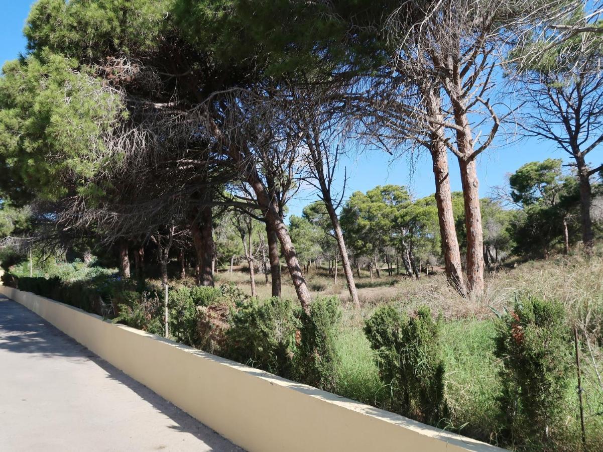 Emilia De La Playa Daire La Mata  Dış mekan fotoğraf