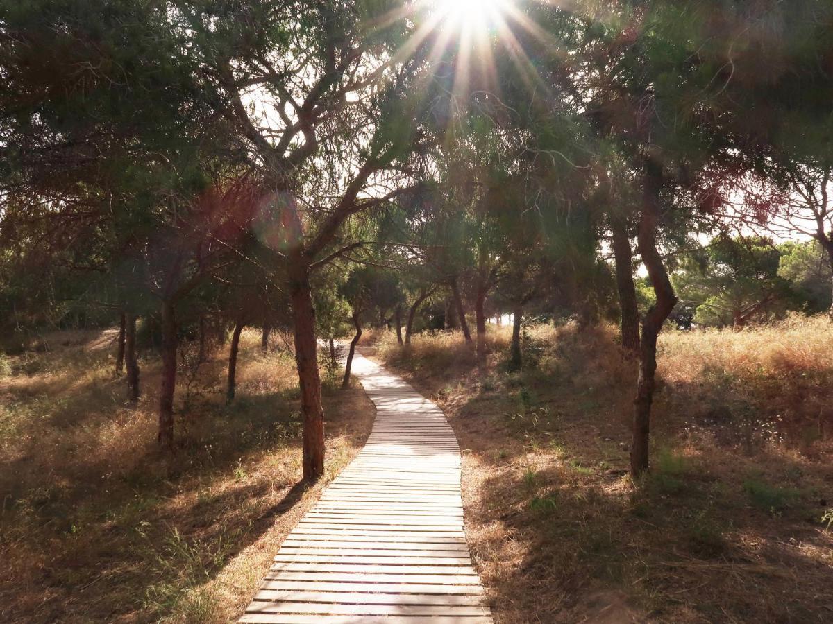 Emilia De La Playa Daire La Mata  Dış mekan fotoğraf